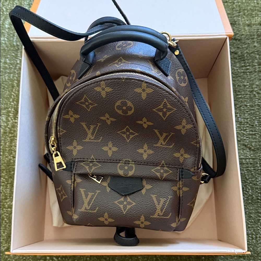 Louis Vuitton Palm Springs Mini Backpack